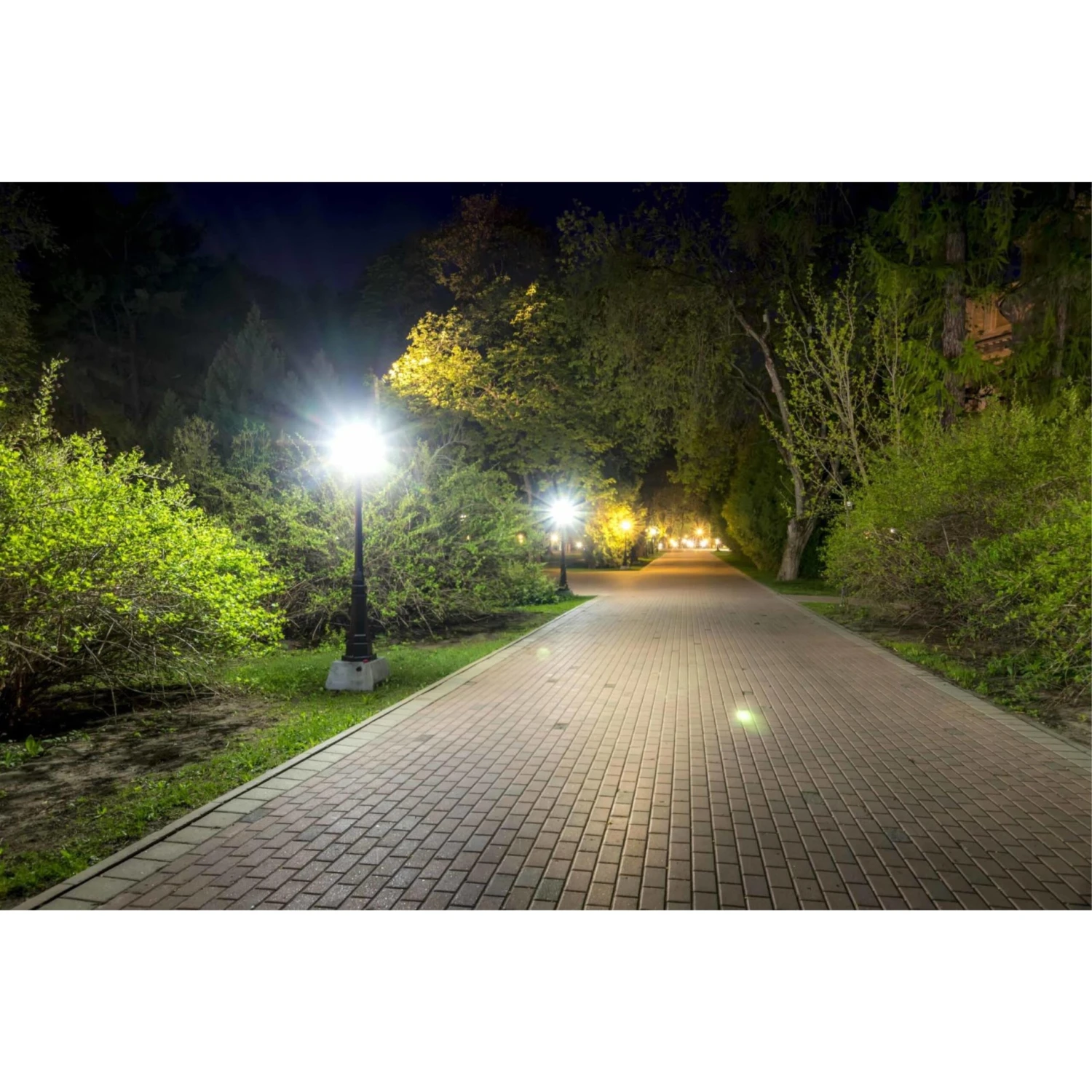 Westinghouse 125-Watt Equivalent Daylight Omni A21 LED Light Bulb With Medium Base - 6-Pack 1 Westinghouse 125-Watt Equivalent Daylight Omni A21 LED Light Bulb With Medium Base - 6-Pack