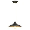 Westinghouse Lighting Iron Hill One-Light Indoor Pendant - 1-Light