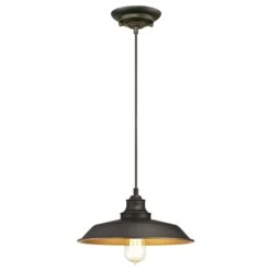 Westinghouse Lighting Iron Hill One-Light Indoor Pendant - 1-Light