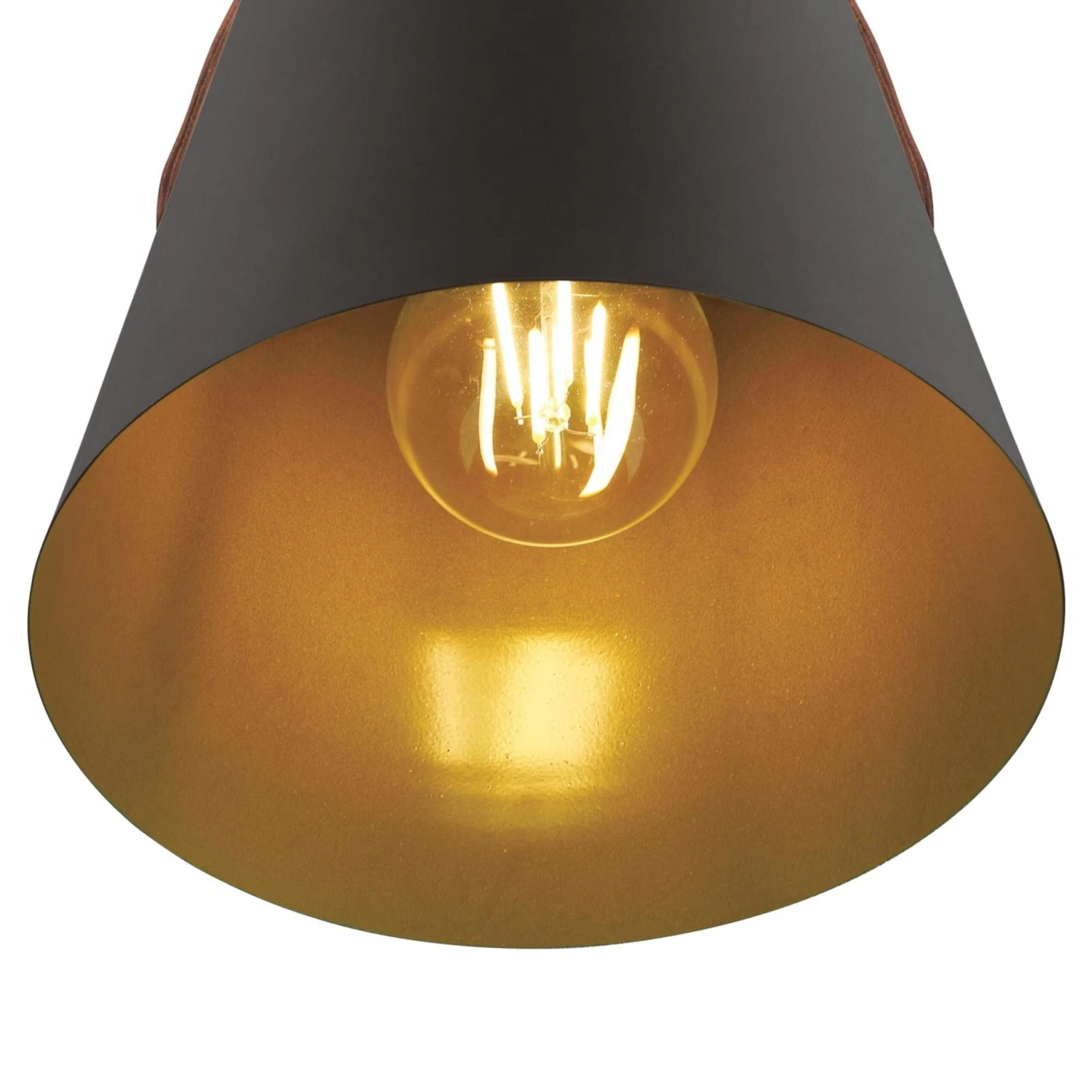 Westinghouse Lighting Pasco One Light Indoor Mini Pendant, Black-Bronze Finish With Leather Strap - 1-Light 5 Westinghouse Lighting Pasco One Light Indoor Mini Pendant, Black-Bronze Finish With Leather Strap - 1-Light - Afbeelding 5