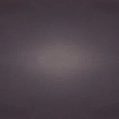 Westinghouse New Haven One-Light Outdoor Wall Fixture, Oil Rubbed Bronze Finish With Clear Seeded Glass