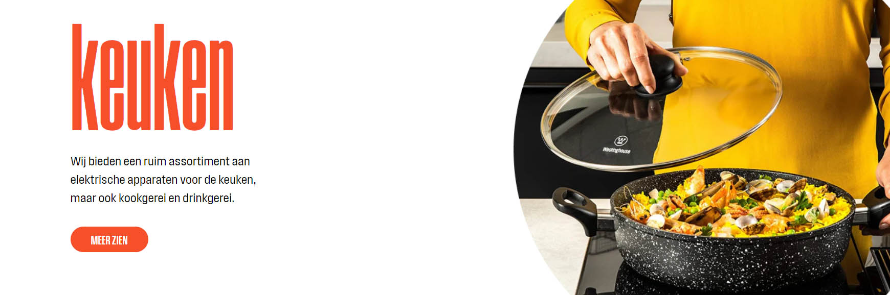 Westinghouse -Westinghouse fygfy